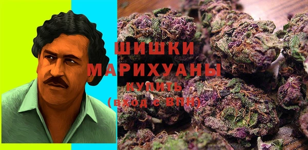 ECSTASY Вяземский