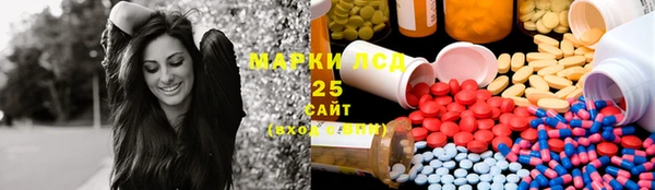 ECSTASY Вяземский
