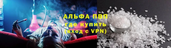 ECSTASY Вяземский