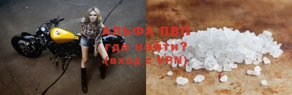 ECSTASY Вяземский