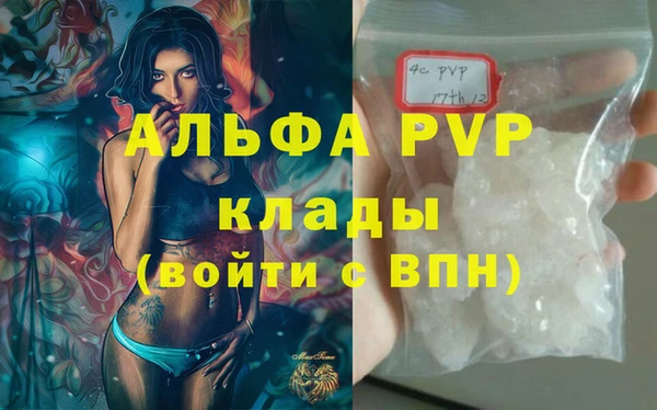 ECSTASY Вяземский