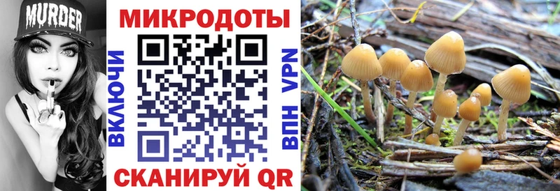 Купить закладки  Нижнеудинск  Галлюциногенные грибы Magic Shrooms 